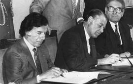 Patricio Aylwin y Menem, Carlos