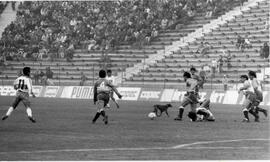 Perro interrumpe partido de fútbol