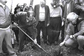 Ricardo Lagos, Ministro de Educación Pública: planta una Araucaria en Parque Botánico