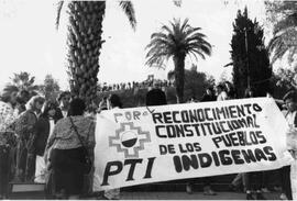 Manifestación por reconocimiento constitucional de los indígenas