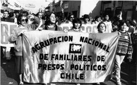 Integrantes de la Agrupación Nacional de Familiares de Presos Políticos de Chile, realizan marcha...