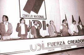 Directiva UDI