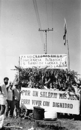 Sindicatos. Trabajadores del criadero de cerdos. José Celsi