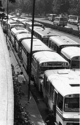 Transporte Colectivo