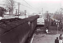 Accidente tren-liebre cruce FISA