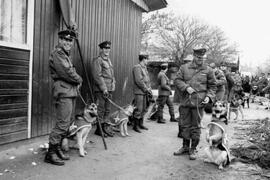 Funcionarios de Carabineros de Chile, junto a sus perros adiestrados