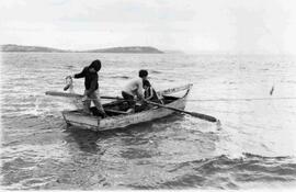 Niños Trabajando. Tenaún (Chiloé), Niños pescadores