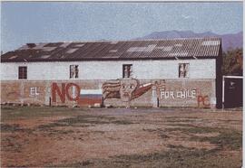 Quillota: población Los Lúcumos. Murales