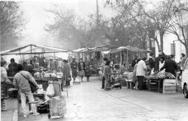 Comercio, Ferias y Mercados