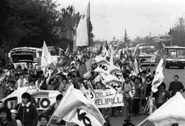 Columna Pacífica. Marcha de la Alegría. Entrada por Cerrillos